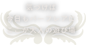 ここが大人の遊び場